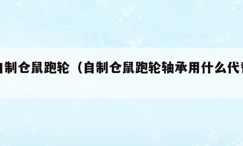 自制仓鼠跑轮（自制仓鼠跑轮轴承用什么代替）