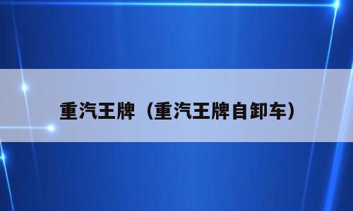 重汽王牌（重汽王牌自卸车）