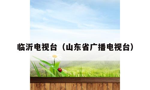 临沂电视台（山东省广播电视台）