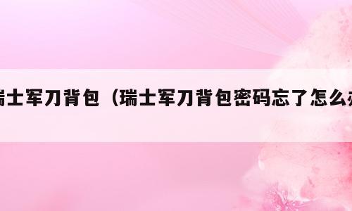 瑞士军刀背包（瑞士军刀背包密码忘了怎么办）