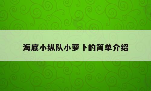 海底小纵队小萝卜的简单介绍