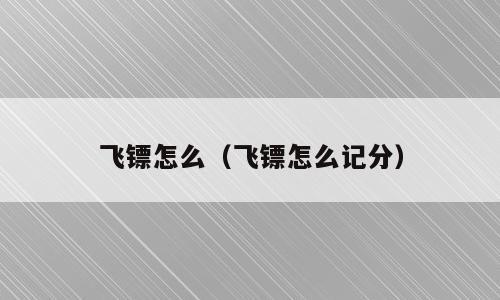 飞镖怎么（飞镖怎么记分）