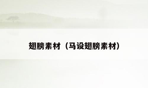 翅膀素材（马设翅膀素材）