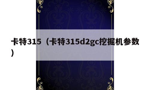 卡特315（卡特315d2gc挖掘机参数）