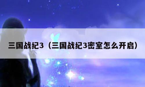 三国战纪3（三国战纪3密室怎么开启）