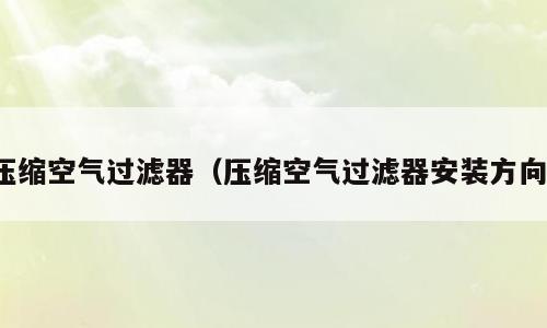 压缩空气过滤器（压缩空气过滤器安装方向）
