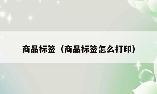 商品标签（商品标签怎么打印）