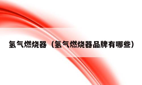 氢气燃烧器（氢气燃烧器品牌有哪些）
