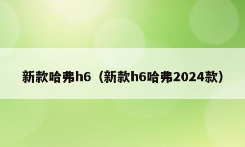 新款哈弗h6（新款h6哈弗2024款）