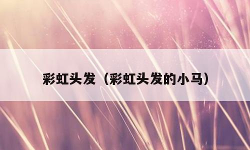 彩虹头发（彩虹头发的小马）