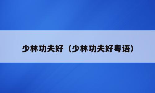 少林功夫好（少林功夫好粤语）