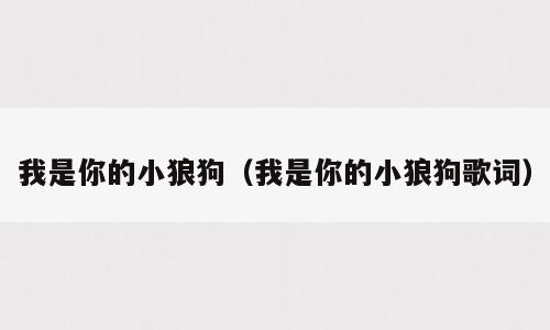 我是你的小狼狗（我是你的小狼狗歌词）