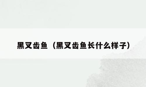 黑叉齿鱼（黑叉齿鱼长什么样子）
