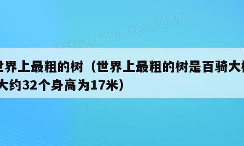 世界上最粗的树（世界上最粗的树是百骑大树,大约32个身高为17米）