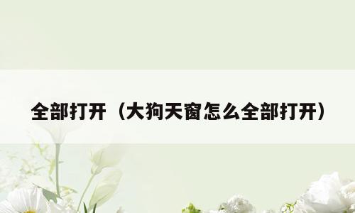 全部打开（大狗天窗怎么全部打开）