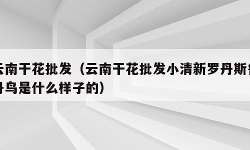 云南干花批发（云南干花批发小清新罗丹斯鲁丹鸟是什么样子的）