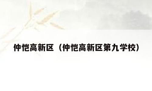 仲恺高新区（仲恺高新区第九学校）