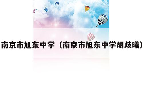 南京市旭东中学（南京市旭东中学胡歧曦）