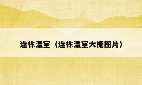 连栋温室（连栋温室大棚图片）