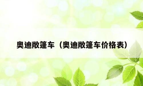 奥迪敞篷车（奥迪敞篷车价格表）