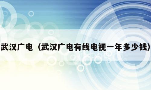 武汉广电（武汉广电有线电视一年多少钱）