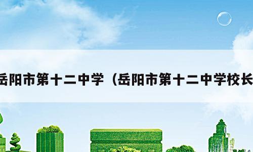 岳阳市第十二中学（岳阳市第十二中学校长）