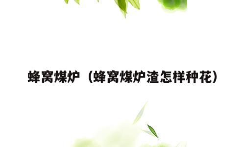 蜂窝煤炉（蜂窝煤炉渣怎样种花）