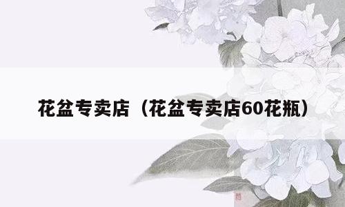 花盆专卖店（花盆专卖店60花瓶）