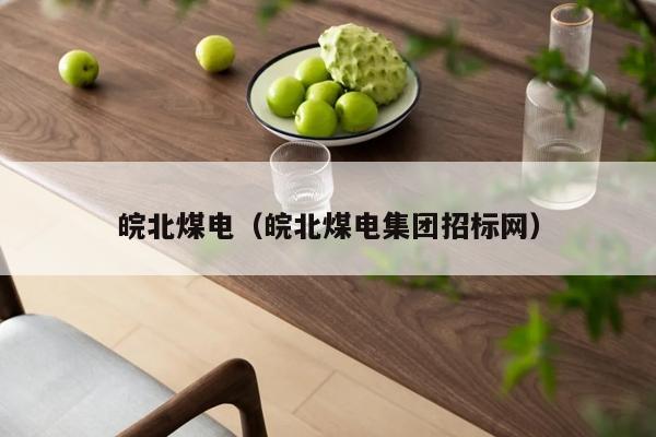 皖北煤电（皖北煤电集团招标网）