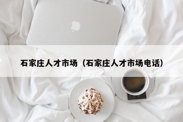 石家庄人才市场（石家庄人才市场电话）