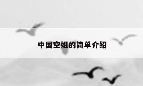 中国空姐的简单介绍