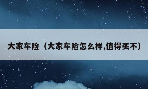 大家车险（大家车险怎么样,值得买不）