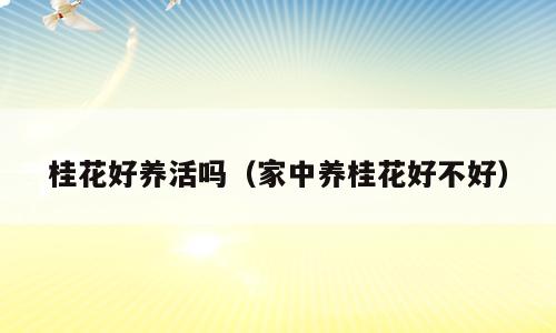 桂花好养活吗（家中养桂花好不好）