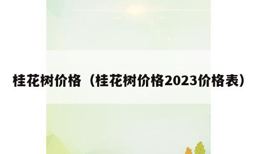 桂花树价格（桂花树价格2023价格表）