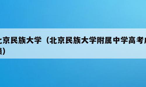 北京民族大学（北京民族大学附属中学高考成绩）