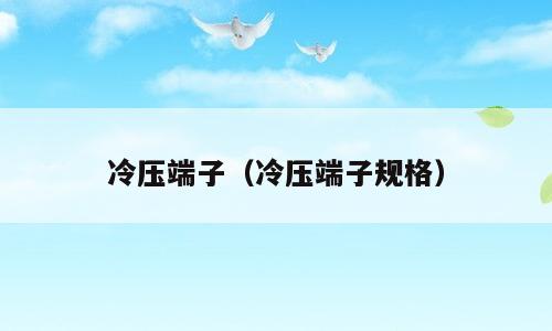 冷压端子（冷压端子规格）