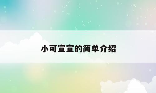 小可宣宣的简单介绍