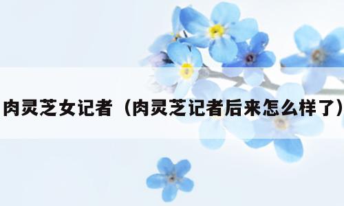 肉灵芝女记者（肉灵芝记者后来怎么样了）