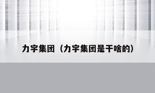 力宇集团（力宇集团是干啥的）