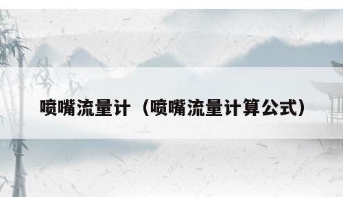 喷嘴流量计（喷嘴流量计算公式）