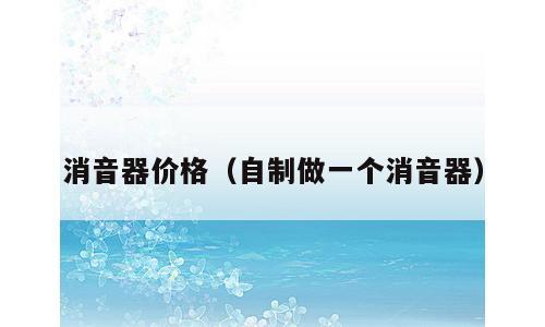消音器价格（自制做一个消音器）