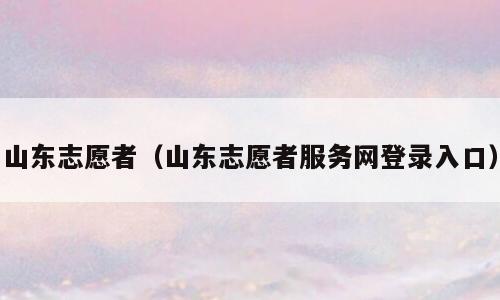 山东志愿者（山东志愿者服务网登录入口）