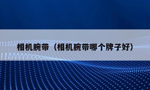 相机腕带（相机腕带哪个牌子好）