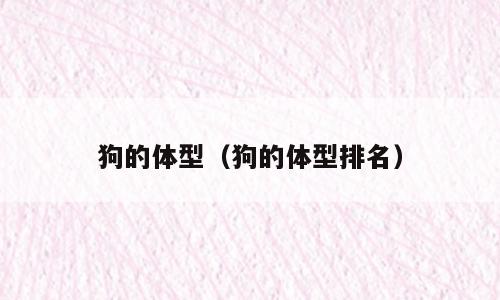狗的体型（狗的体型排名）