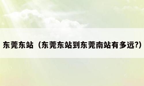 东莞东站（东莞东站到东莞南站有多远?）
