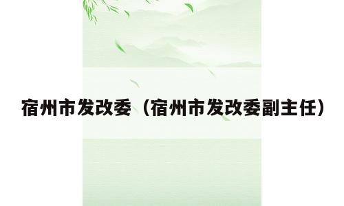 宿州市发改委（宿州市发改委副主任）