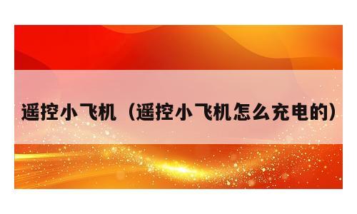 遥控小飞机（遥控小飞机怎么充电的）
