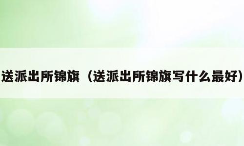 送派出所锦旗（送派出所锦旗写什么最好）