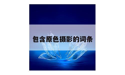 包含原色摄影的词条