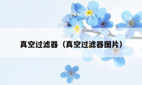真空过滤器（真空过滤器图片）